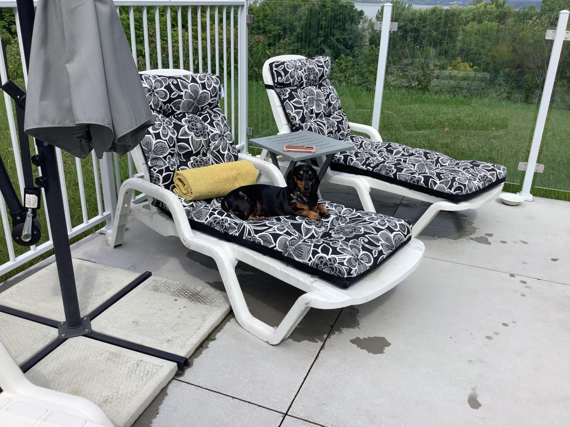 Les Saisons Du Fleuve Bed & Breakfast Lotbiniere Exterior foto